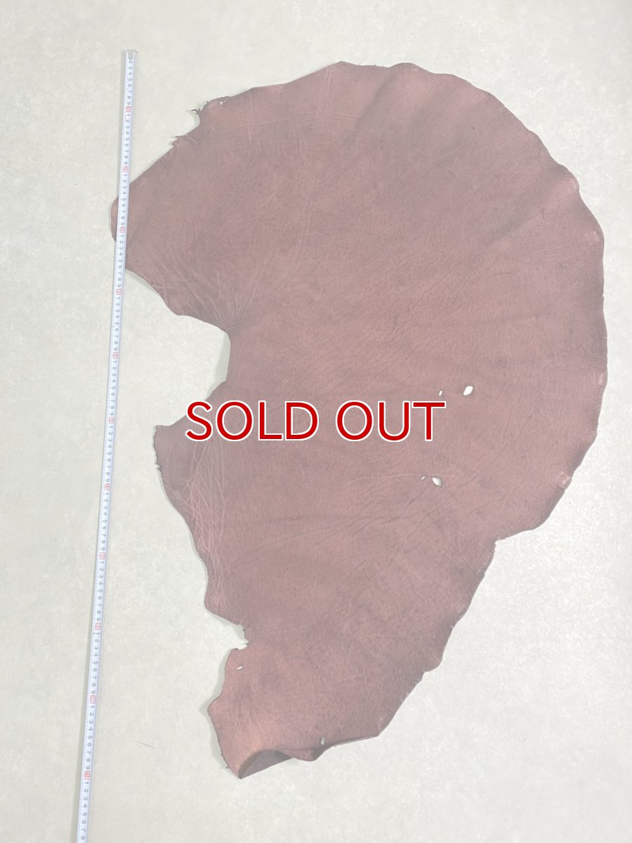 画像1: エレファントレザー　ボルドー　ゾウ革　象革　耳　エキゾチックレザー (1)