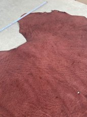 画像3: エレファントレザー　ボルドー　ゾウ革　象革　耳　エキゾチックレザー (3)