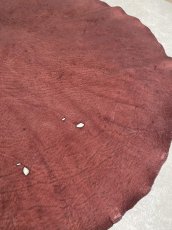 画像4: エレファントレザー　ボルドー　ゾウ革　象革　耳　エキゾチックレザー (4)