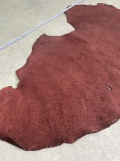 画像2: エレファントレザー　ボルドー　ゾウ革　象革　耳　エキゾチックレザー (2)