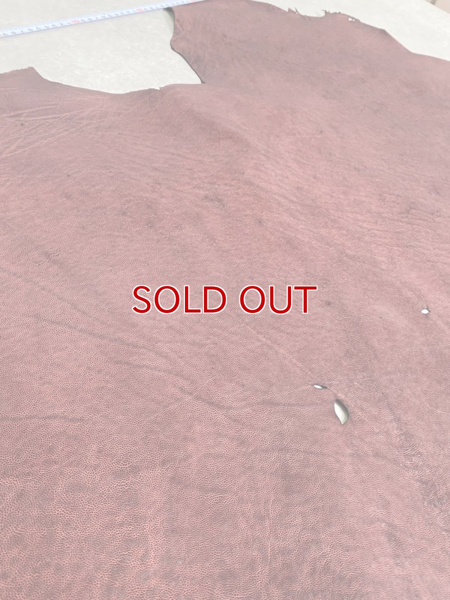 画像5: エレファントレザー　ボルドー　ゾウ革　象革　耳　エキゾチックレザー (5)