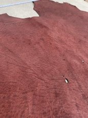 画像5: エレファントレザー　ボルドー　ゾウ革　象革　耳　エキゾチックレザー (5)