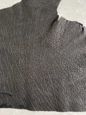 画像4: エレファントレザー　ブラック　ゾウ革　象革　エキゾチックレザー (4)