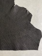 画像7: エレファントレザー　ブラック　ゾウ革　象革　エキゾチックレザー (7)