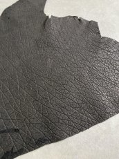 画像3: エレファントレザー　ブラック　ゾウ革　象革　エキゾチックレザー (3)