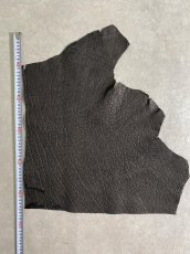 画像8: エレファントレザー　ブラック　ゾウ革　象革　エキゾチックレザー (8)