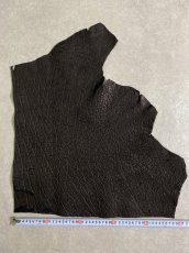 画像9: エレファントレザー　ブラック　ゾウ革　象革　エキゾチックレザー (9)