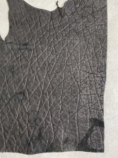 画像6: エレファントレザー　ブラック　ゾウ革　象革　エキゾチックレザー (6)