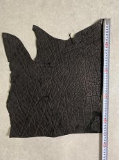 画像7: エレファントレザー　ブラック　ゾウ革　象革　エキゾチックレザー (7)