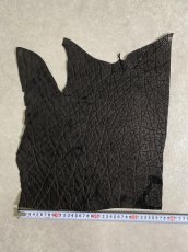 画像8: エレファントレザー　ブラック　ゾウ革　象革　エキゾチックレザー (8)