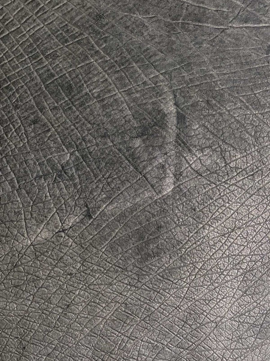 画像4: エレファントレザー　ブラック　ゾウ革　象革　エキゾチックレザー (4)