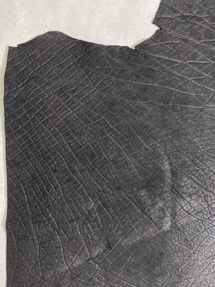 画像5: エレファントレザー　ブラック　ゾウ革　象革　エキゾチックレザー (5)