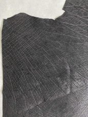 画像5: エレファントレザー　ブラック　ゾウ革　象革　エキゾチックレザー (5)