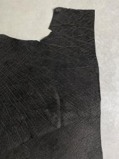 画像6: エレファントレザー　ブラック　ゾウ革　象革　エキゾチックレザー (6)