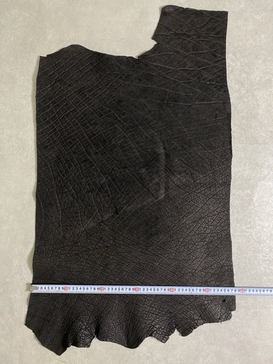 画像9: エレファントレザー　ブラック　ゾウ革　象革　エキゾチックレザー (9)