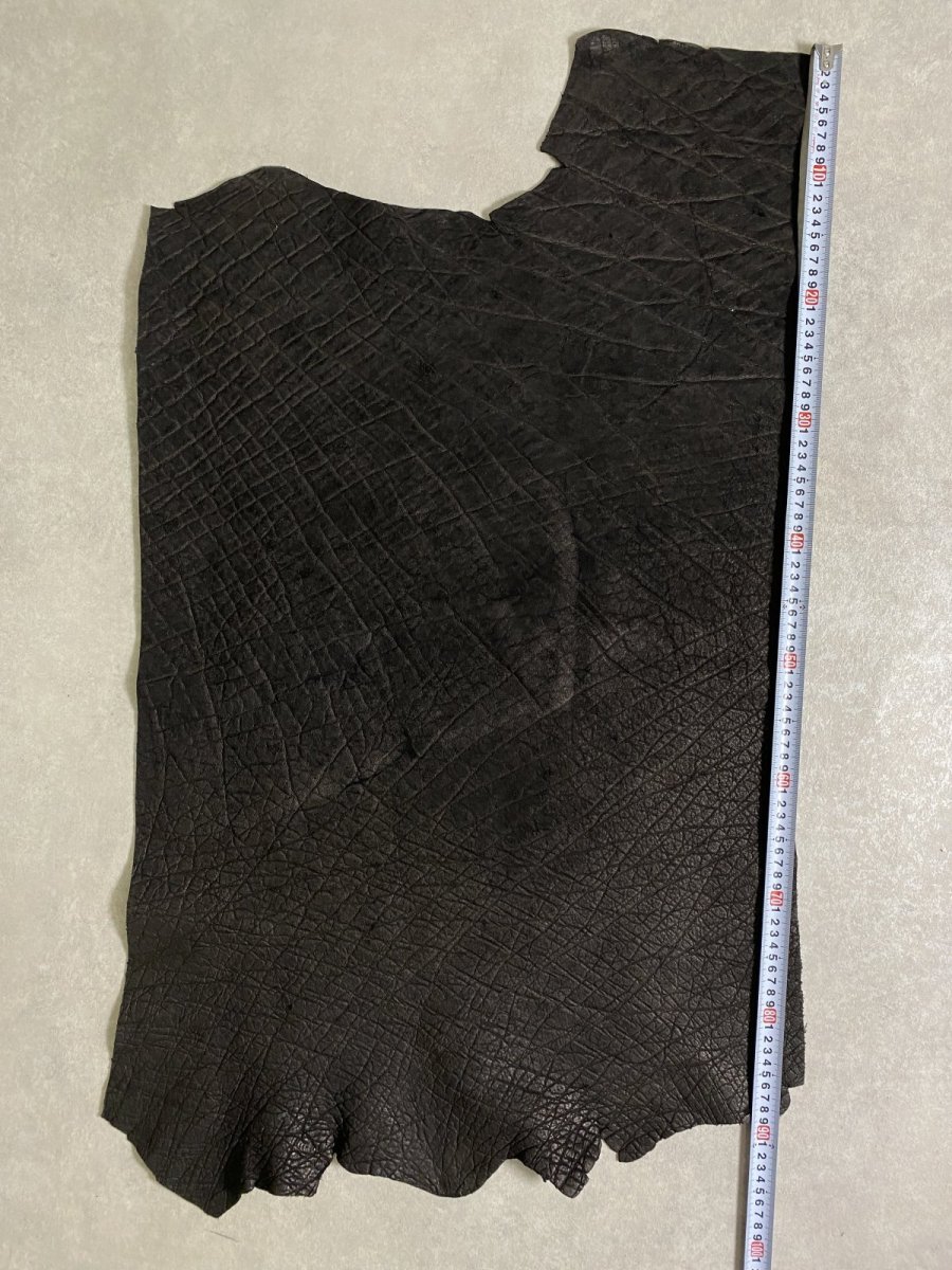画像10: エレファントレザー　ブラック　ゾウ革　象革　エキゾチックレザー (10)