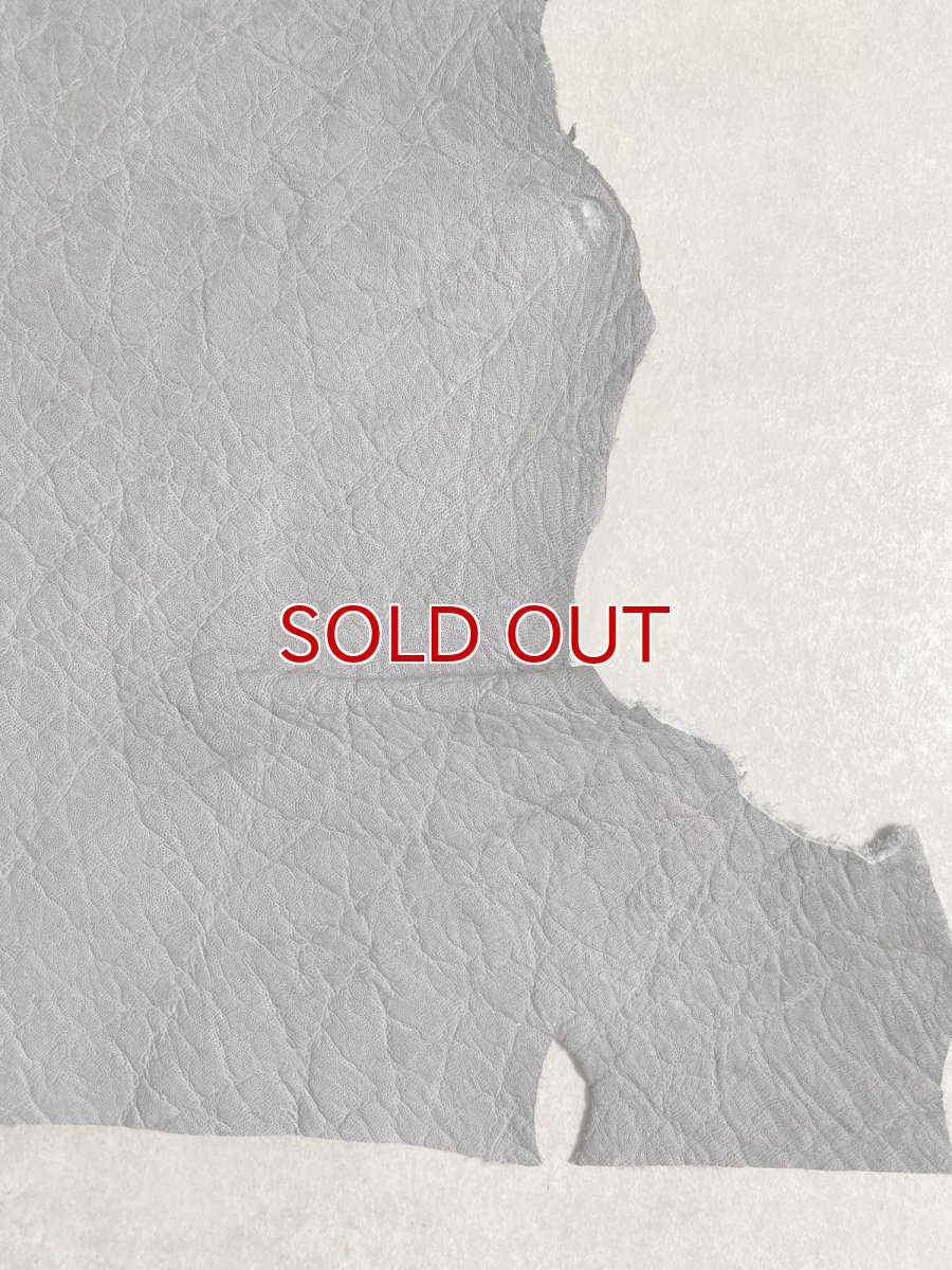 画像5: エレファントレザー　グレー　ゾウ革　象革　エキゾチックレザー (5)