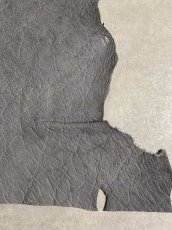 画像5: エレファントレザー　グレー　ゾウ革　象革　エキゾチックレザー (5)