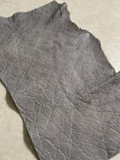 画像6: エレファントレザー　グレー　ゾウ革　象革　エキゾチックレザー (6)