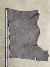 画像7: エレファントレザー　グレー　ゾウ革　象革　エキゾチックレザー (7)