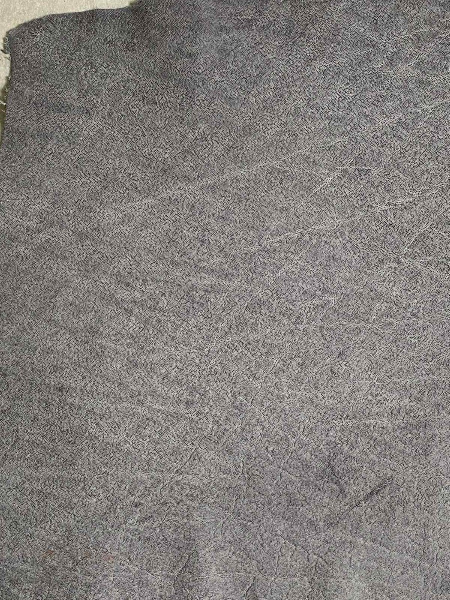 画像4: エレファントレザー　グレー　ゾウ革　象革　エキゾチックレザー (4)