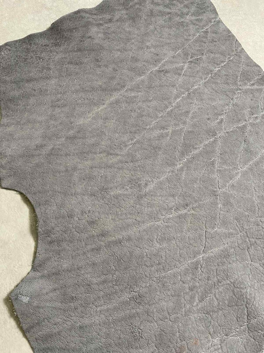 画像2: エレファントレザー　グレー　ゾウ革　象革　エキゾチックレザー (2)