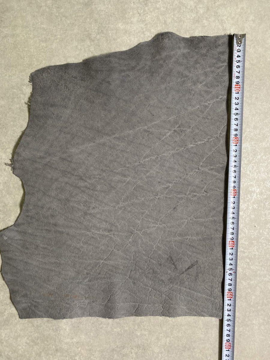 画像9: エレファントレザー　グレー　ゾウ革　象革　エキゾチックレザー (9)