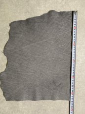 画像9: エレファントレザー　グレー　ゾウ革　象革　エキゾチックレザー (9)