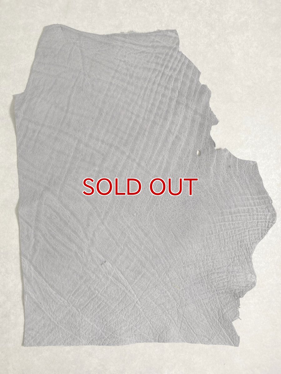 画像1: エレファントレザー　グレー　ゾウ革　象革　エキゾチックレザー (1)