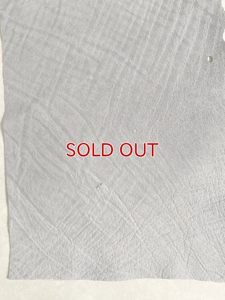 画像6: エレファントレザー　グレー　ゾウ革　象革　エキゾチックレザー (6)