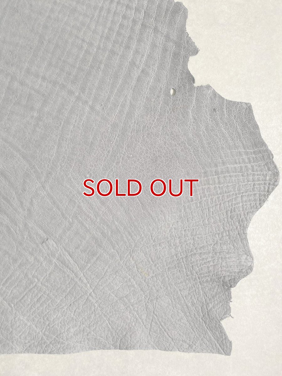 画像7: エレファントレザー　グレー　ゾウ革　象革　エキゾチックレザー (7)