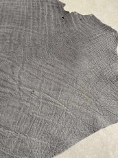 画像3: エレファントレザー　グレー　ゾウ革　象革　エキゾチックレザー (3)