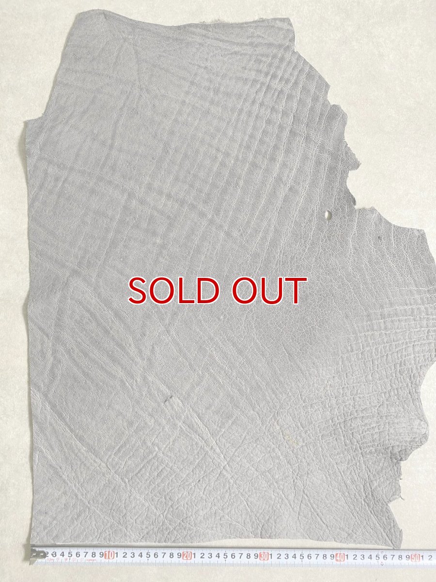 画像8: エレファントレザー　グレー　ゾウ革　象革　エキゾチックレザー (8)