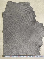 画像8: エレファントレザー　グレー　ゾウ革　象革　エキゾチックレザー (8)