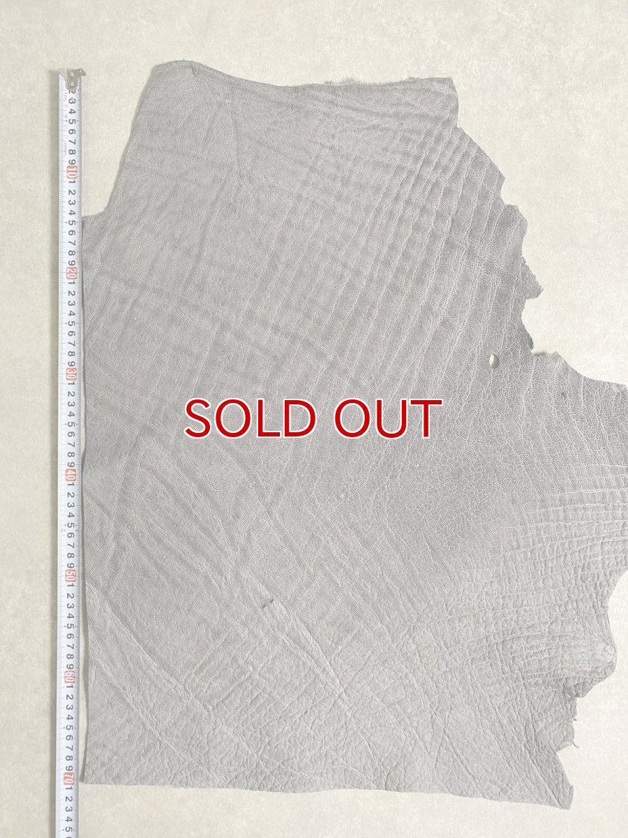 画像9: エレファントレザー　グレー　ゾウ革　象革　エキゾチックレザー (9)