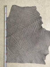 画像9: エレファントレザー　グレー　ゾウ革　象革　エキゾチックレザー (9)