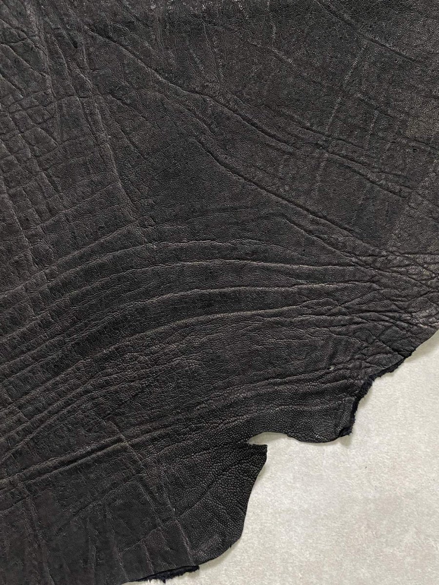 画像5: エレファントレザー　ブラック　ゾウ革　象革　エキゾチックレザー (5)