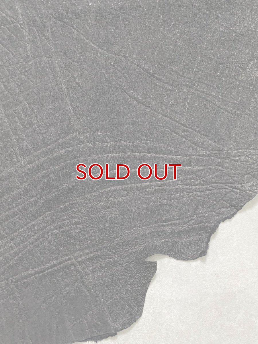 画像5: エレファントレザー　ブラック　ゾウ革　象革　エキゾチックレザー (5)