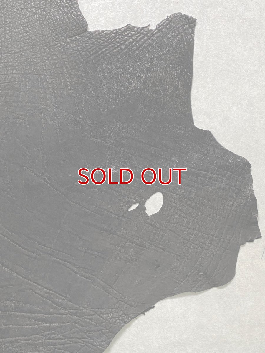 画像4: エレファントレザー　ブラック　ゾウ革　象革　エキゾチックレザー (4)