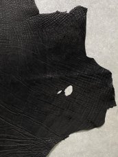 画像4: エレファントレザー　ブラック　ゾウ革　象革　エキゾチックレザー (4)