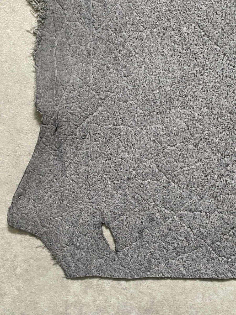 画像4: エレファントレザー　グレー　ゾウ革　象革　エキゾチックレザー (4)