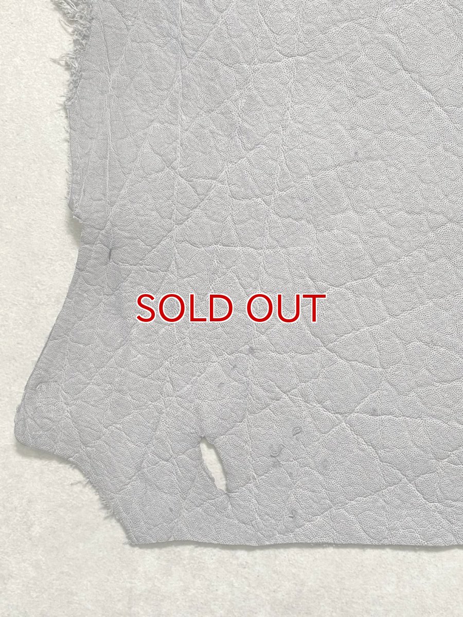 画像4: エレファントレザー　グレー　ゾウ革　象革　エキゾチックレザー (4)