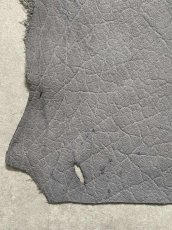 画像4: エレファントレザー　グレー　ゾウ革　象革　エキゾチックレザー (4)