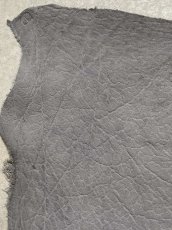 画像2: エレファントレザー　グレー　ゾウ革　象革　エキゾチックレザー (2)