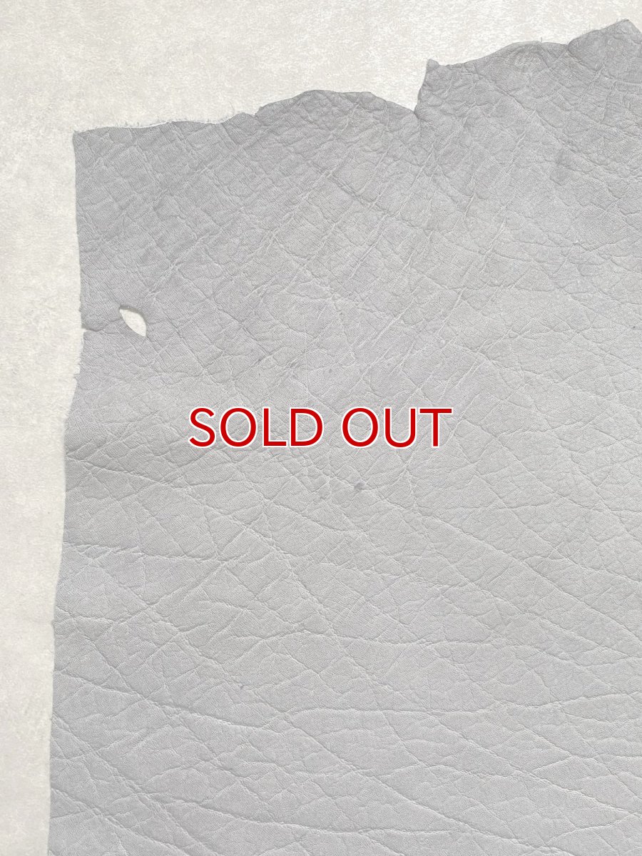 画像2: エレファントレザー　グレー　ゾウ革　象革　エキゾチックレザー (2)