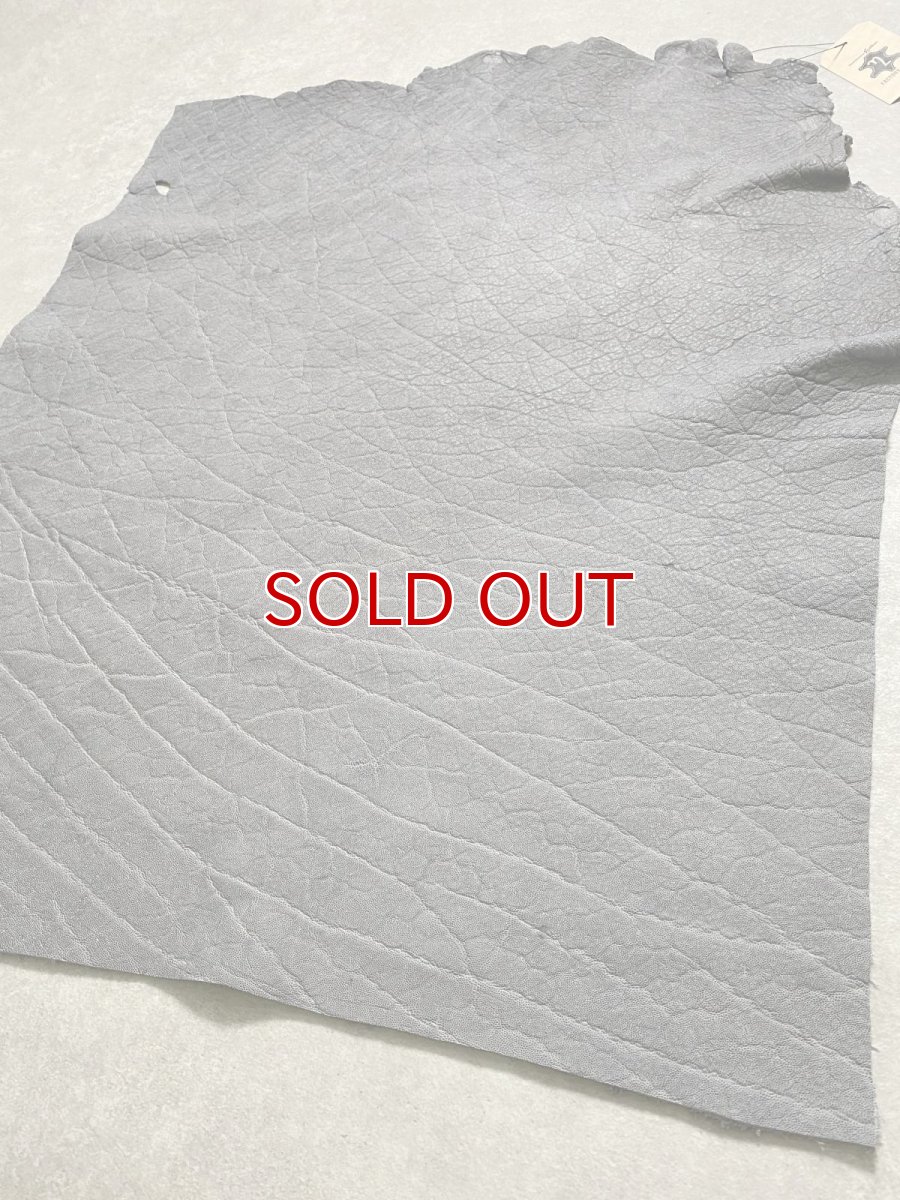 画像6: エレファントレザー　グレー　ゾウ革　象革　エキゾチックレザー (6)