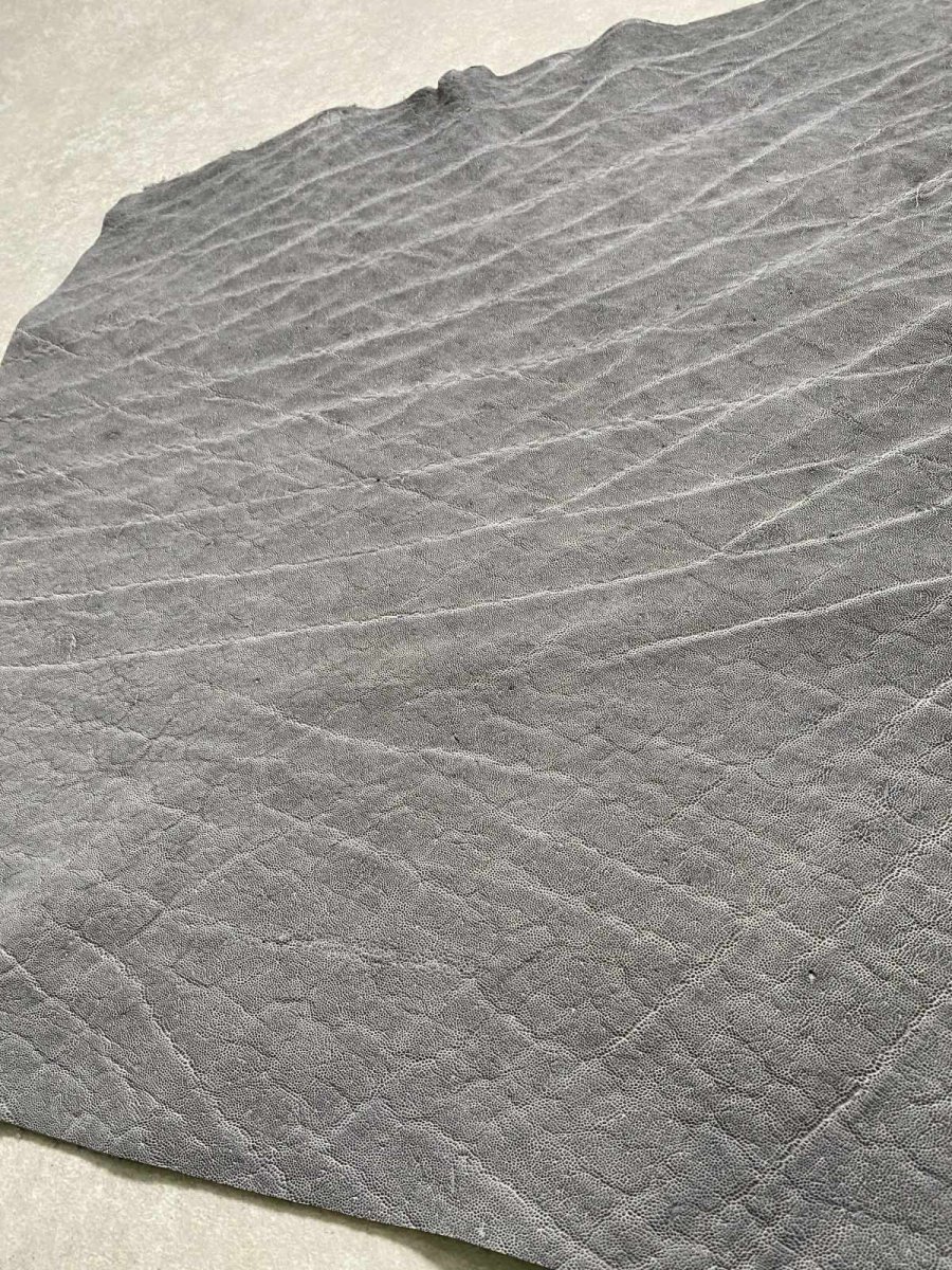 画像6: エレファントレザー　グレー　ゾウ革　象革　エキゾチックレザー (6)