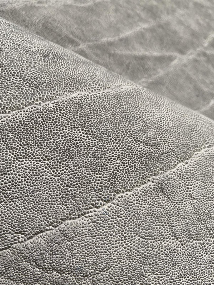 画像7: エレファントレザー　グレー　ゾウ革　象革　エキゾチックレザー (7)