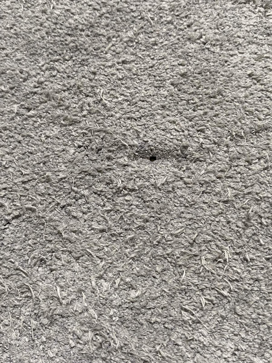 画像11: エレファントレザー　グレー　ゾウ革　象革　エキゾチックレザー (11)