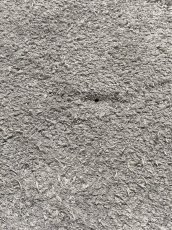 画像11: エレファントレザー　グレー　ゾウ革　象革　エキゾチックレザー (11)